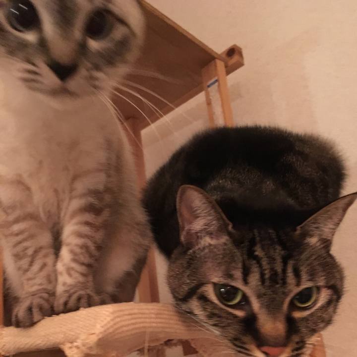 84920d41 1368 4a2f 9d70 83aea883506b 1548417522442