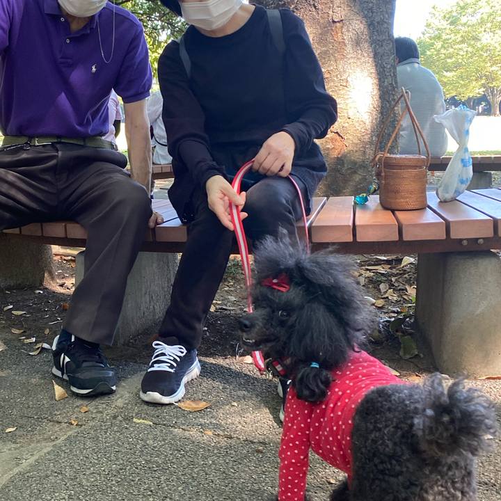 8492124e ebbe 4e93 9639 1af4f0f4bf0a 1664677940529