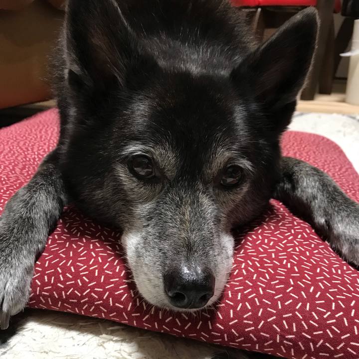 84921378 01f4 49cd b1a5 759596102c01 1640843951274