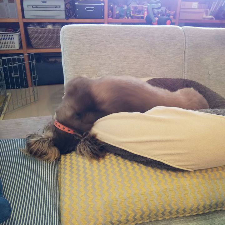 849216d1 c0de 4097 a11b 50b00a200aa4 1563595087675