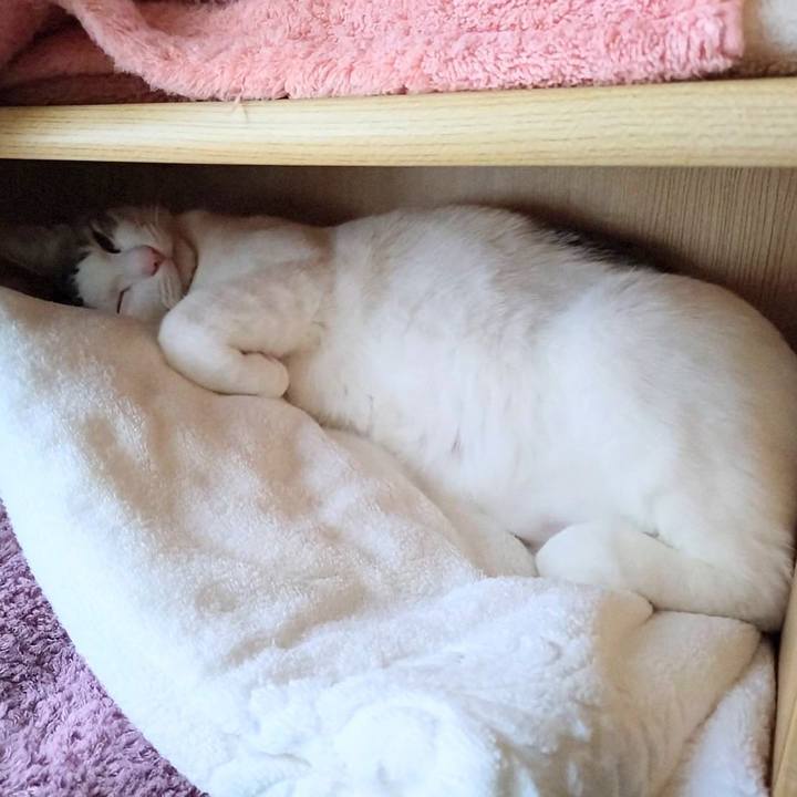 8492285f c547 47bc bee2 758c1b858645 1739102907437