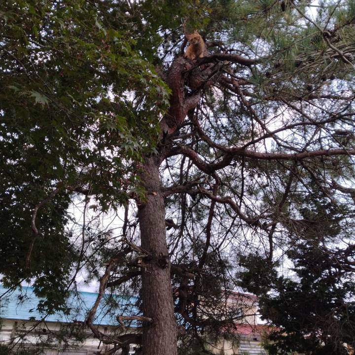 84922d4d 4c0b 45b2 9bb0 703c7bf7235f 1697839767542