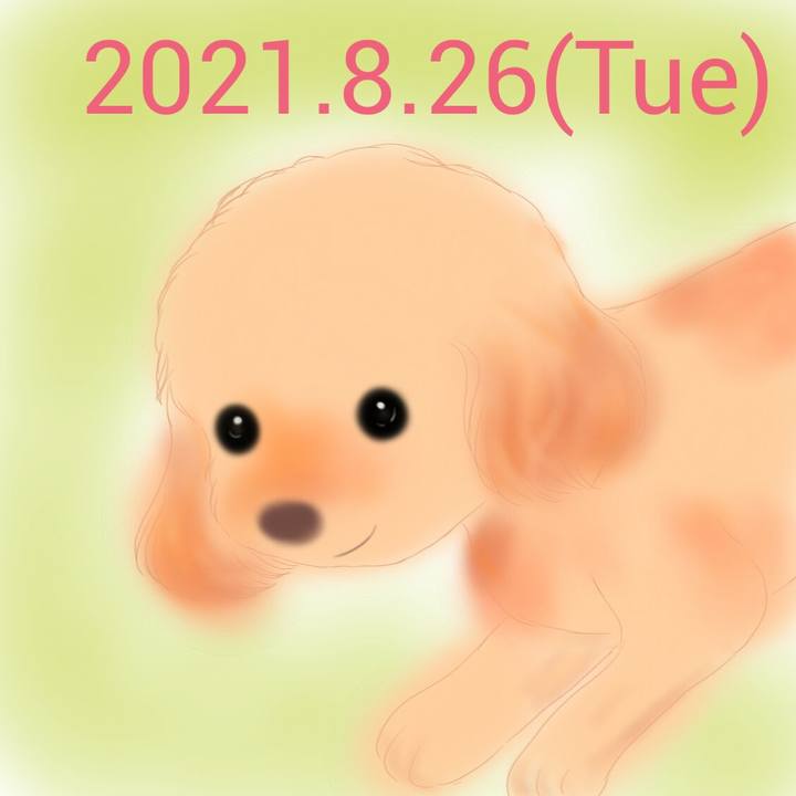84923a33 658c 4b27 8bd3 fb0d9975d391 1629978138686