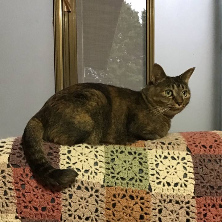 849260bc 5289 4461 922a 621a5b580e83 1756975278094