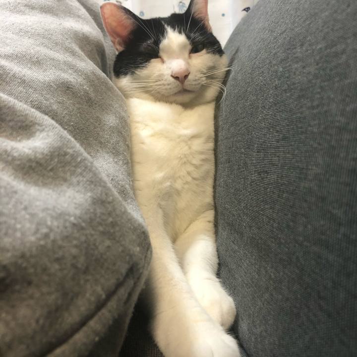 84927566 604c 4088 a7c8 fa9604a0f433 1540480114075