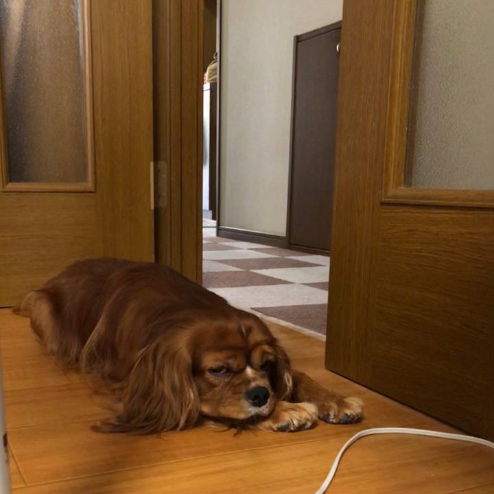 8492e55d 0f6c 48f0 9686 2c412bdfc315 1597702745582