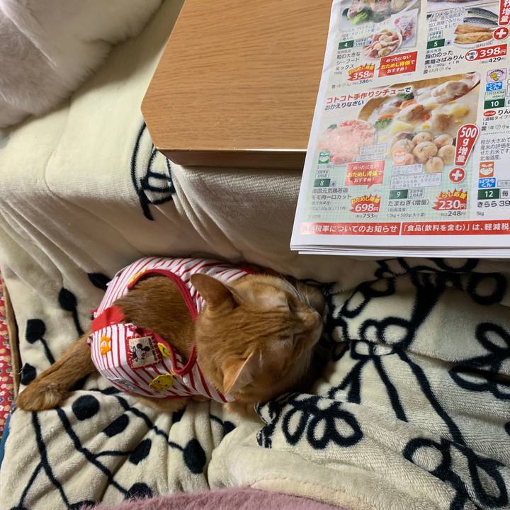 8492fd5f 7b11 47c1 8025 49e4e6116d2f 1581158227619