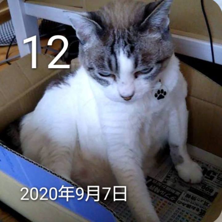 84935bb7 cb87 4d1e 846a ee50258f3224 1757650303358
