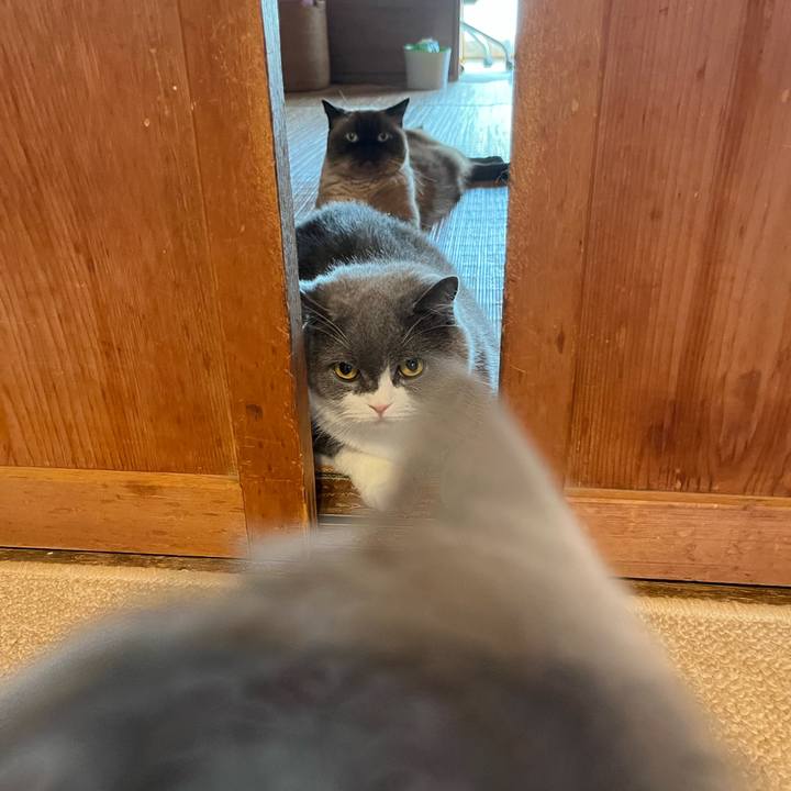 849364e6 d216 49c6 91a0 cdd37b4828ad 1694912418614