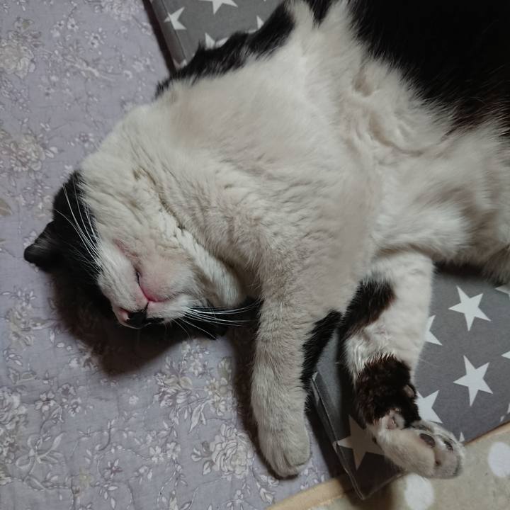 84936f28 bc81 4c91 afd0 eab403d59326 1557318686938