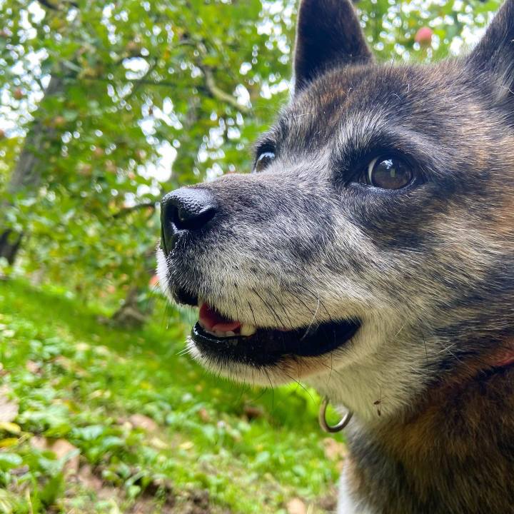 8493b884 6bbc 4527 9066 7b4da450f0ac 1635753037678