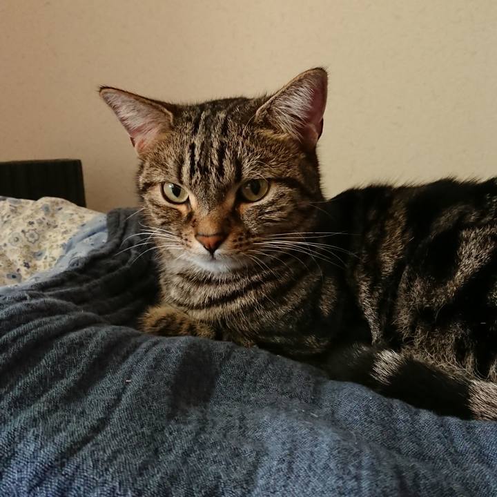 8493cb96 5604 473e bd1b 71c4251bf212 1541298800894