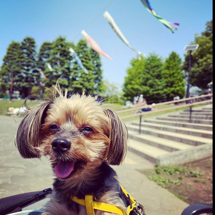 8493dd5f 6ace 43b6 89d8 49607772b1da 1651629925601