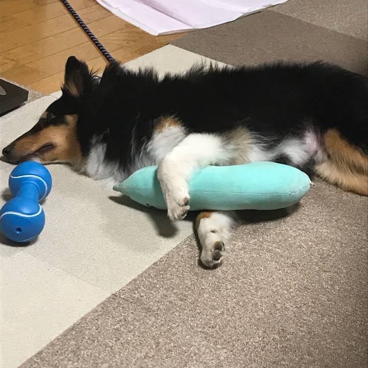 84941def 0c8f 42c4 a59d 9175a49e69b1 1526940468001