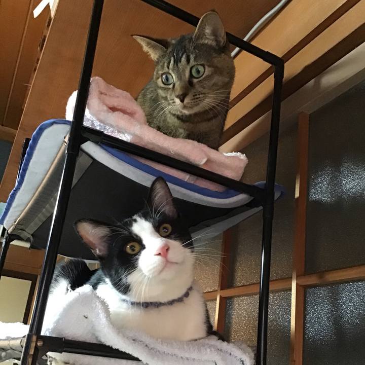 8494449c 6728 414d a325 5722de7b2037 1639293565728