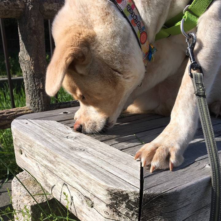 8494542c 66f9 49f8 b6f5 3b1f39b4bce2 1525562792786