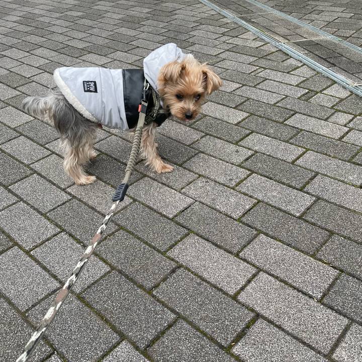 849458f7 d341 4efb 95db 496481c3b0b9 1762848161788