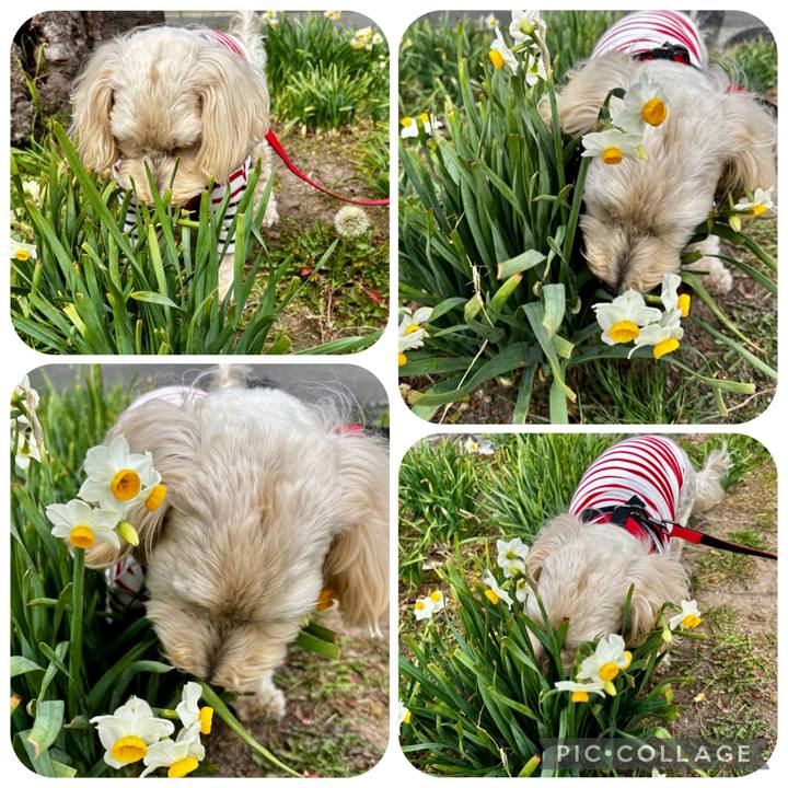 849464f2 bfc3 45e7 a0b4 61b8ecf66ccf 1771994086546