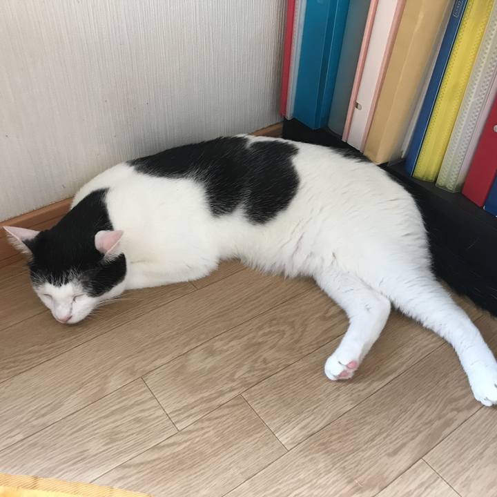 8494af83 2afa 4910 8dc2 4dc9bf5d5602 1535498882459