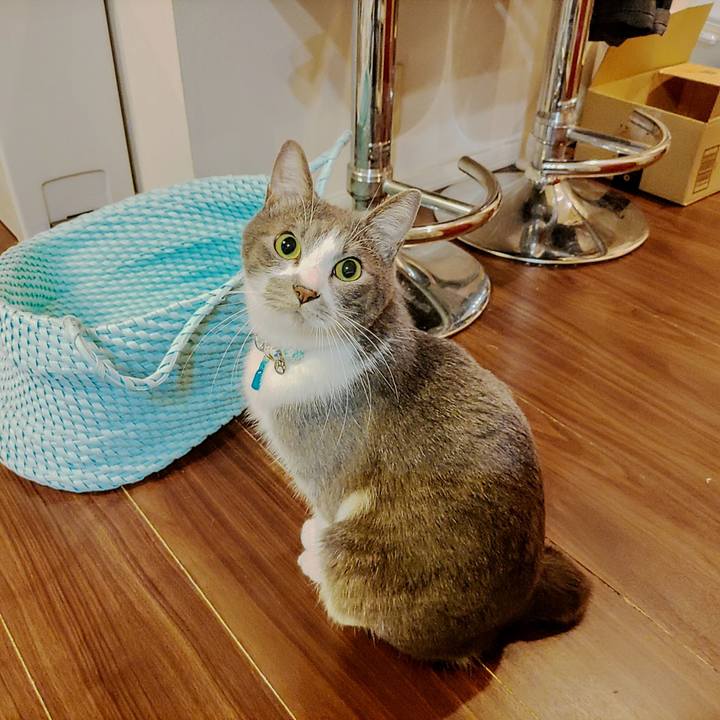 8494c069 4186 44c4 b0a1 95691f3be6af 1669674362799