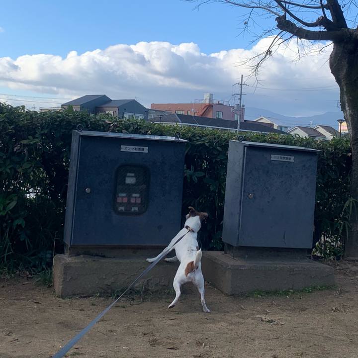 8494f20b 3125 4d69 a1b8 996a1c643cb9 1546084215575