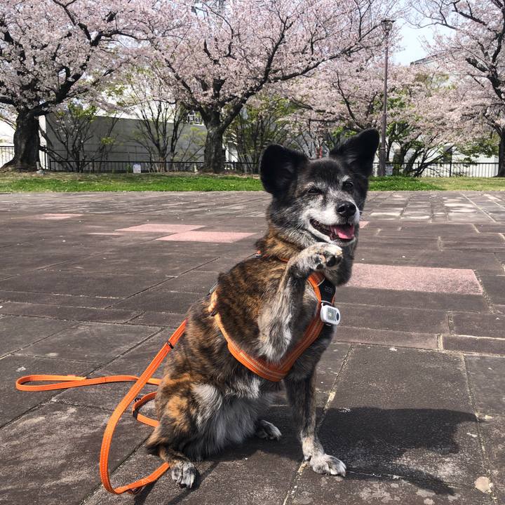 849521a2 3024 4905 924f 68f91c80961a 1681259447490