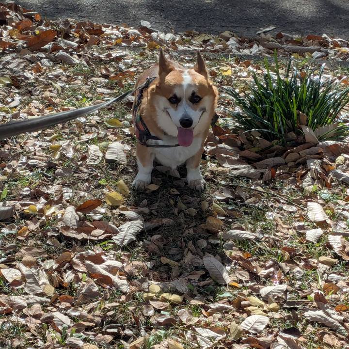 84953801 a9eb 4d4b 9967 e8e670e5cefa 1764828558857