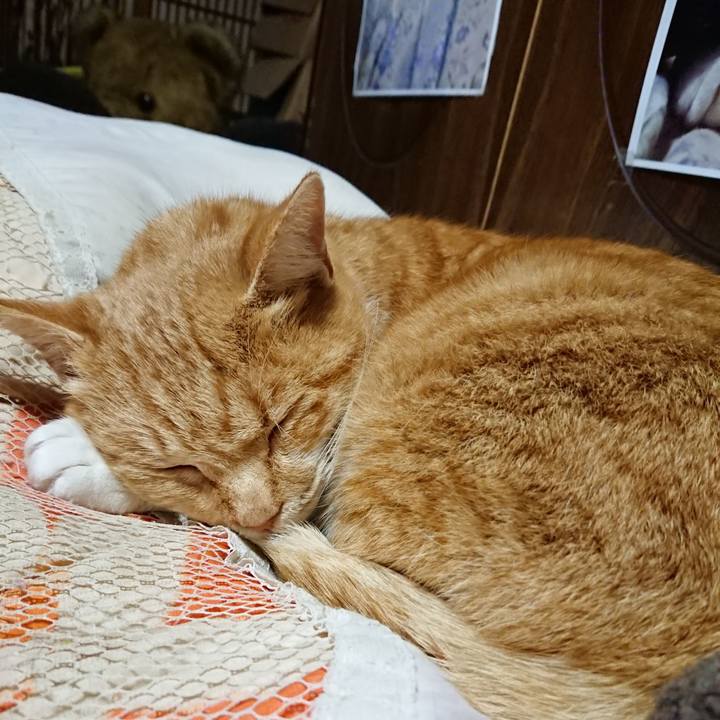 84953c06 91d5 4168 88a5 45db5687976c 1608203560707