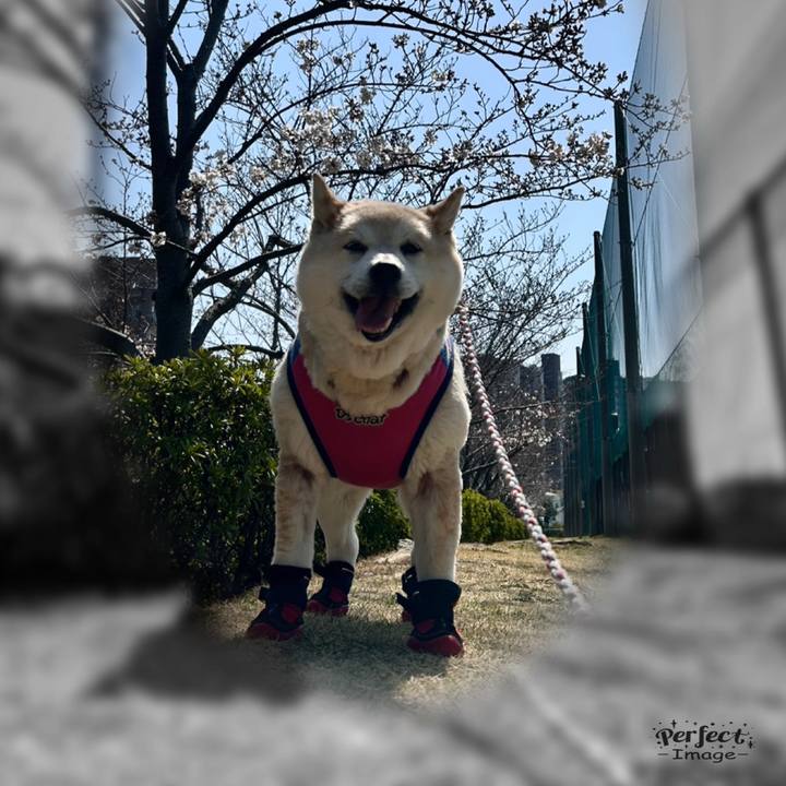 84956053 2aff 4719 8b99 367040d0433c 1747952921314