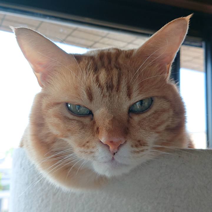 84956bf5 03a1 478e a25f 2047fd201e03 1540165364413