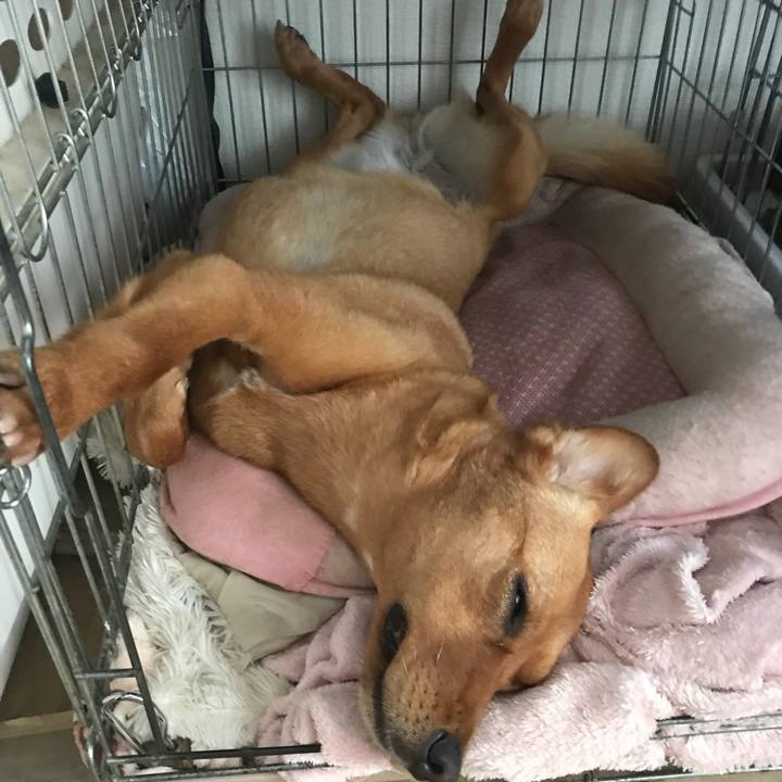 84957325 a741 43e7 bdc1 bca27f9afc3c 1527229114822