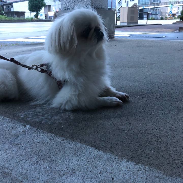 84957bb2 1a4b 479a a286 f22a4e3bdc68 1535944603879