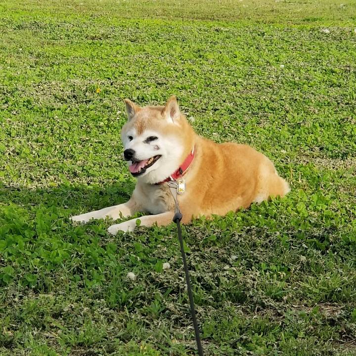 8495b53f e88f 4f44 b67f 965156c5b844 1747640644162