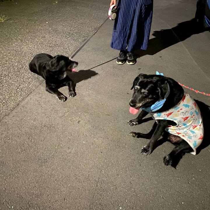 8495cabd 4b56 4fe6 934f 5891837623ed 1660700411003