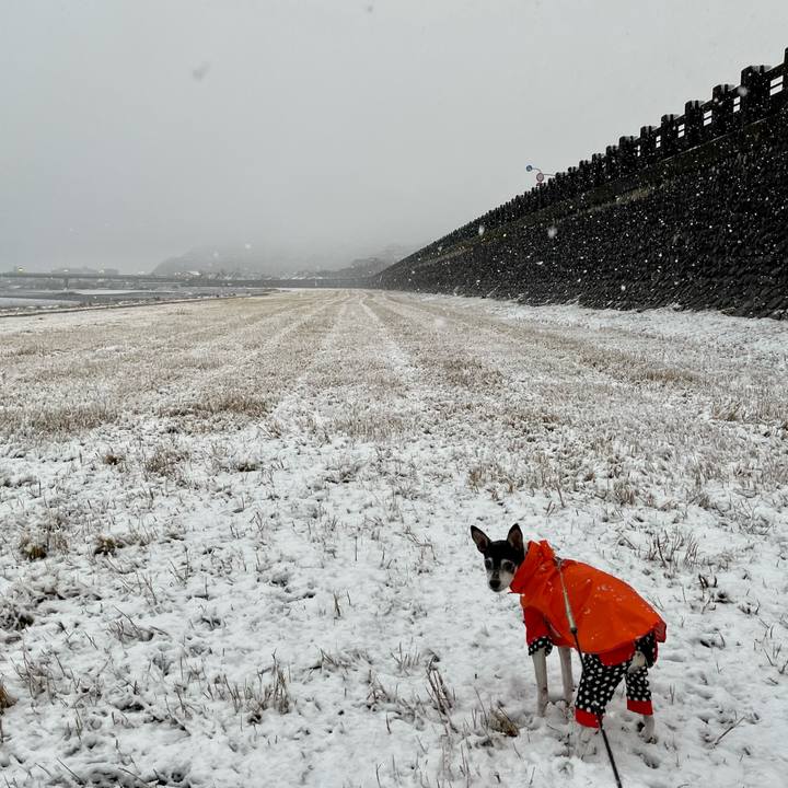 8495e3e6 1f7e 436b 81fc 2987fd40dae2 1640909354216