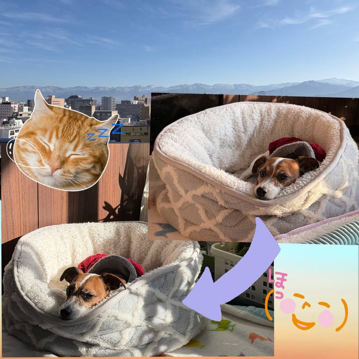 8495f0b1 7925 4c31 a6b7 3041e796a735 1766457021357