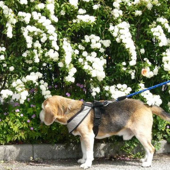 84962acd fd00 459f b708 0823df854016 1745195629518