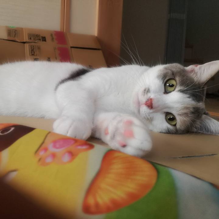 84966edc 2588 4b91 8509 b01d0a375bf6 1532081403757