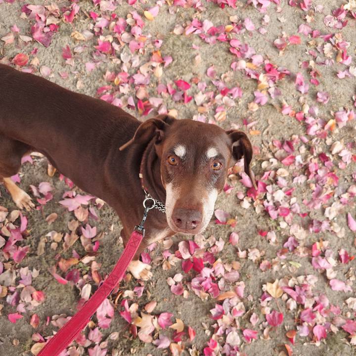 8496aba3 cfe9 41fe 92f2 2286d6378ae0 1764127153673