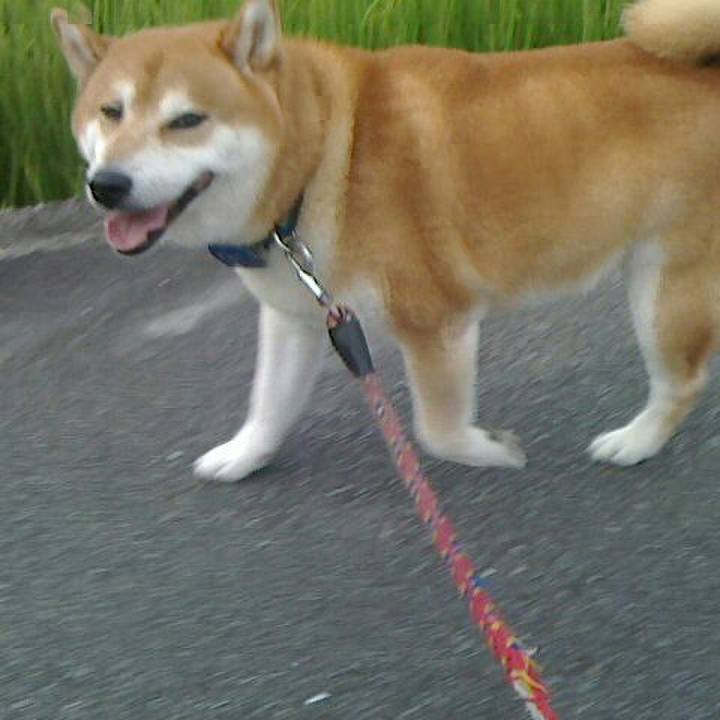 8496b0bb 18d0 4970 8571 0449034cc2fc 1567940021187