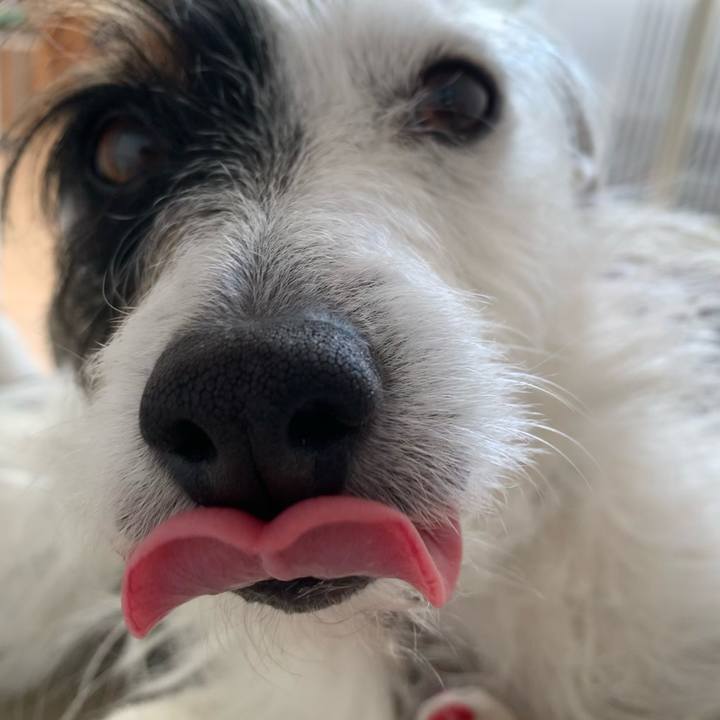 8496bc54 5c35 423c 8e9f b6d909266b8c 1614496195075