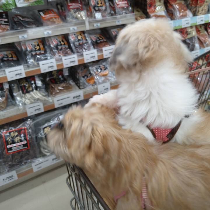 8496d63f 2a98 40ca bf68 8f96318e6068 1603024889851