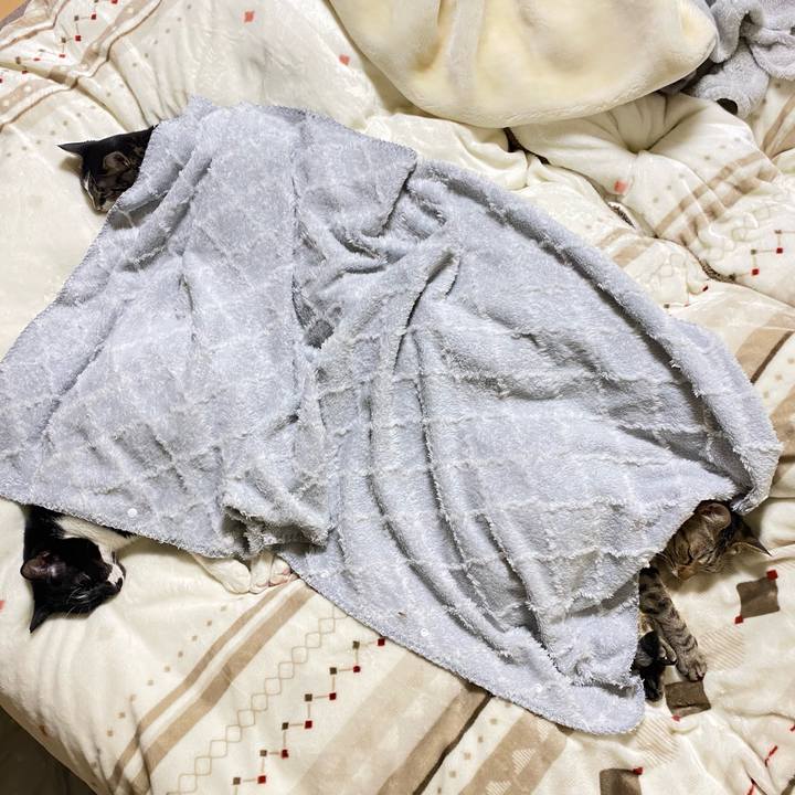 84970b66 f962 47ce af18 03e4ff9c4c82 1673881721051