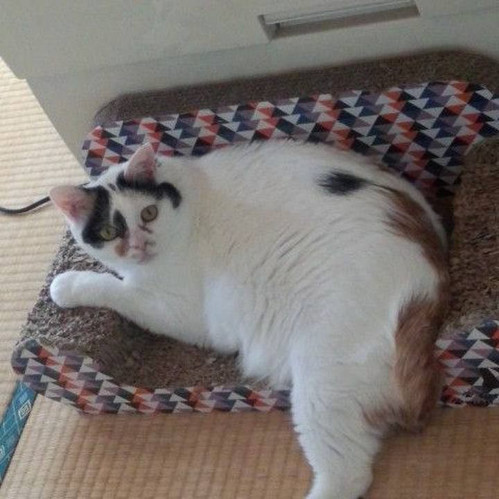 84971d8e 3ceb 4f30 881e 9cdbf6f7aecb 1605779904333