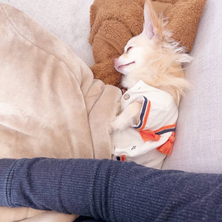 84972889 fb7d 443d 8e5a a4032312da06 1744015849363