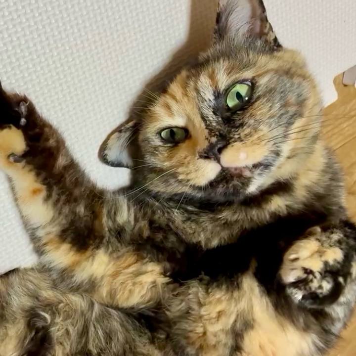 849741f4 747a 4557 8d78 97d818ced51f 1749845754783