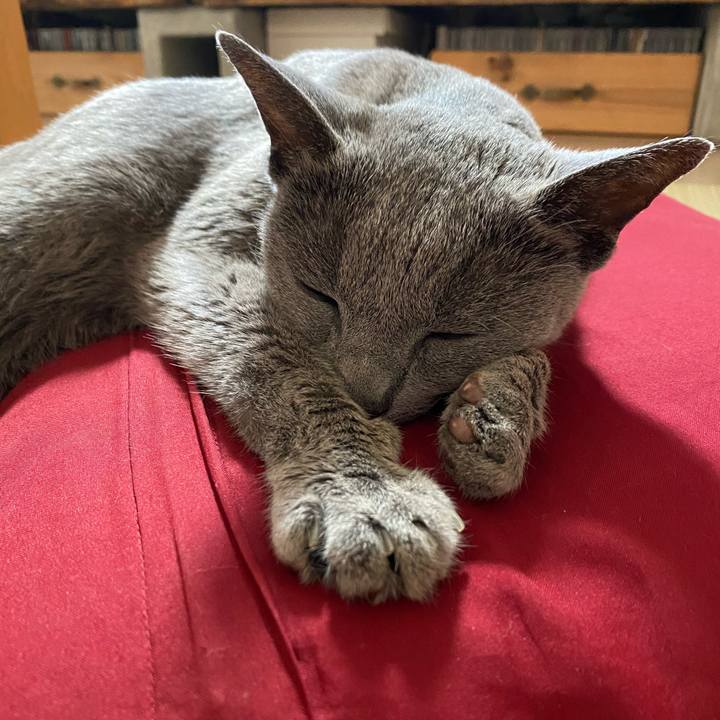 84979459 776f 4990 a511 7bfb274fad35 1598655381335