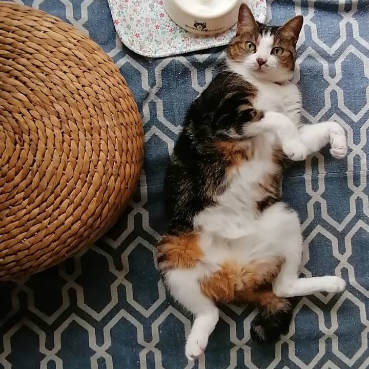 8497b62f a99c 47a7 8ced 84f0ec37b693 1596928529397