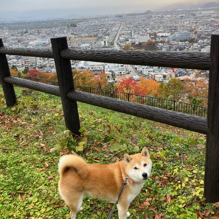 8497e9f9 ef53 4112 b44d ce000787745c 1731914760030