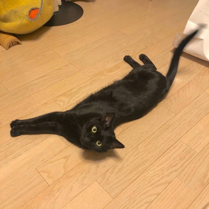 84980a85 95c8 4081 aab2 25ce765edcba 1545224154236